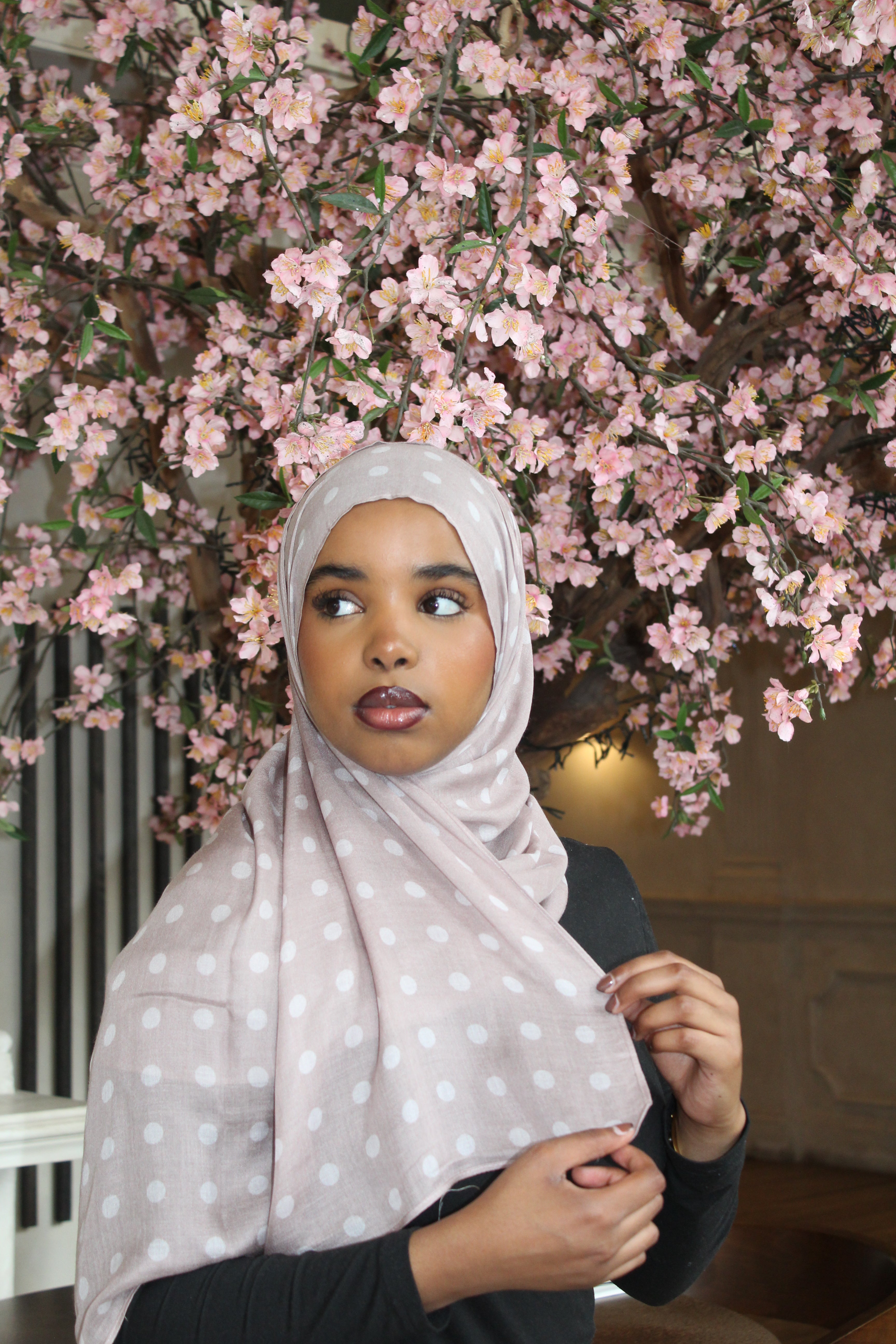 Modal Cotton - Champagne Dots